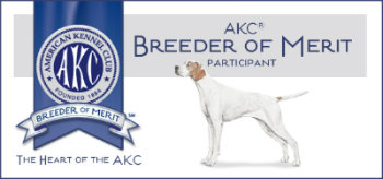 AKC Breeder of merit